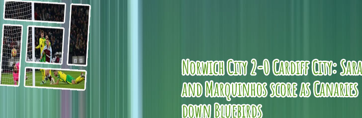 Norwich city scores